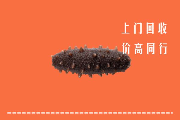 高价求购：邯郸回收海参